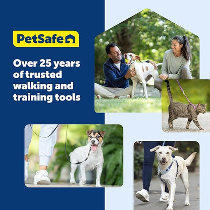 PetSafe 3-in-1 Harness - Comfortable Easy-Walk Dog Chest Harness with Front Leash Attachment to Reduce Pulling, Choking & Gagging - Dog Obedience Gear - Large - Plum