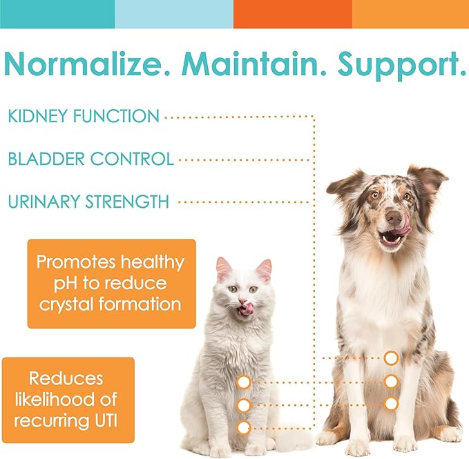 NUSENTIA UTRIN - Urinary Support for Cats & Dogs - Dual-Action Cranberry & D-Mannose - for Natural Bladder Health, Incontinence, and Recurring UTI, 60 Servings