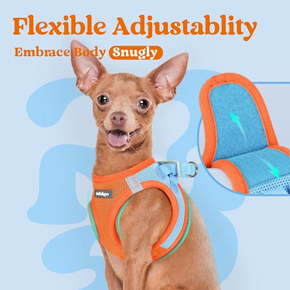 rabbitgoo Small Dog Harness, Step-in Soft Mesh Puppy Vest with Safety Buckle, Breathable Reflective Pet Harness for Extra Small Dogs, Blue & Orange XXS