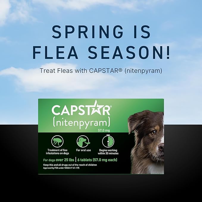Capstar for Dogs (nitenpyram), Fast-Acting Oral Flea Treatment for Dogs Over 25+ lbs, Vet-Recommended Flea Medication Tablets Start Killing in 30 Minutes, 6 Doses