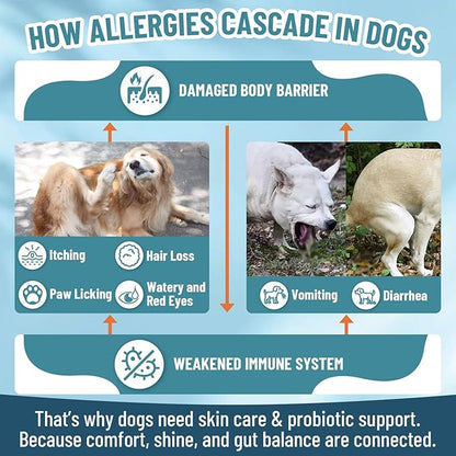 Dog Allergy Chews with Probiotics for Dogs, 200 Dog Allergy Relief Treats for Dogs Immune Support & Itching Skin Relief, Ears, Eyes, Paws Support, Dog Probiotics for Gut Health, Chicken Flavor