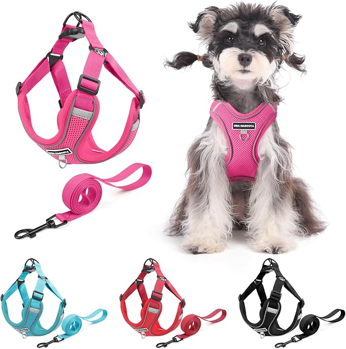 Dog Harness and Leash Set, Adjustable Triangle, Reflective Adjustable Puppy Vest, No Pull Soft Mesh Harness for Small, Medium Dogs, Cats (Fuchsia, M)