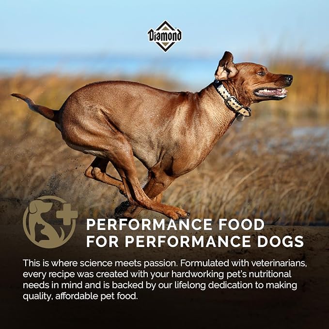 Diamond Premium All Life Stages Dry Dog Food 26/18 for Active, Athletic & Sporting Dogs 40lb Bag