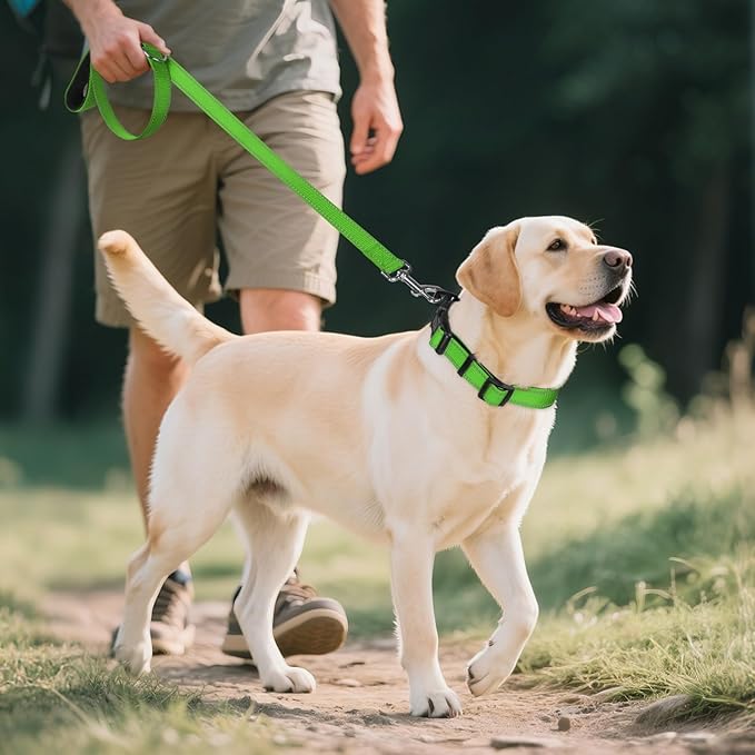 Joytale Reflective Dog Collar, Soft Neoprene Padded, Metal D-Ring, Nylon Pet Collar Adjustable for Extra Large Dogs, Green, XL