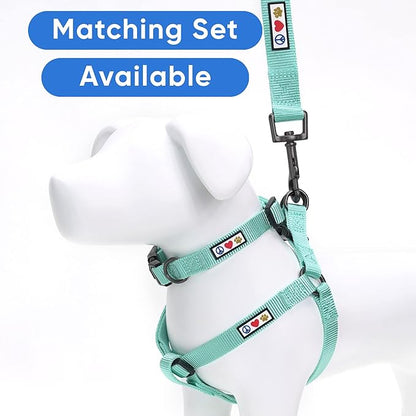 Pawtitas Personalized 6 ft Teal Dog Leash M/L Custom Name and Phone Embroidery Strong Nylon Leash for Medium and Large Breeds