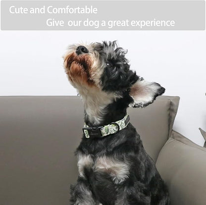 ARING PET Dinosaur Dog Collar-Cute Dog Collar for Small Dogs, Adjustable Comfortable Cotton Boy Dog Collars for Small Medium Large Dogs, Large