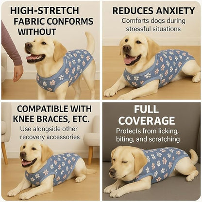 PetWarm Recovery Suit for Dogs Female Spay, Dog Bodysuit for Sensitive Skin Areas, Professional Dog Abdominal Affected Areas Bandages Substitute E-Collar and Cone, Flower Pattern, Blue, 2XL