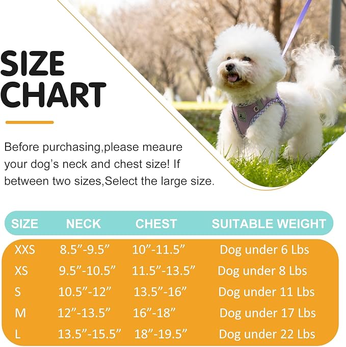 Dog Harness and Leash Set - No Pull Soft Breathable Small Dog Harness, Adjustable Reflective Step in Vest for Puppy, Kitten, Cats