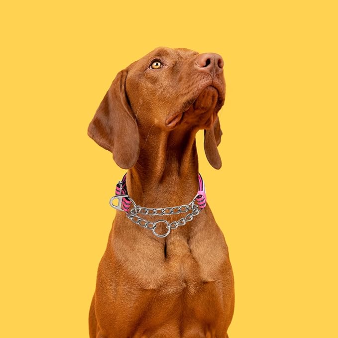 Stainless Steel Chain Martingale Collar for Dogs, No Pull Slip Cinch Choker Choke Collar Training Escape Proof Heavy Duty Dog Collar for Small Medium Large Pet Girl Female Dogs,Pink L
