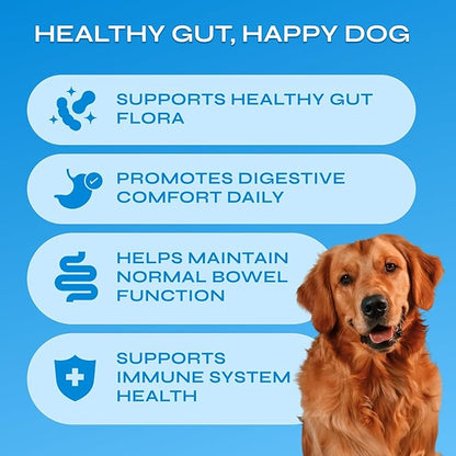 Probiotics for Dogs - Prebiotics & Digestive Enzymes 17,420 mg per Pack - Dog Probiotics Chews for Gut Health, Diarrhea, Gas & Constipation Relief - Itchy Skin, Allergies, Yeast Balance - 130 Treats