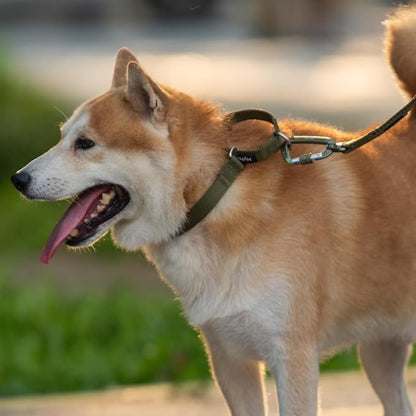 Hyhug Martingale Collar for Dogs Small Green |Escape - Proof Heavy Duty Nylon Durable No Buckle, Ideal for Training & Daily Walks