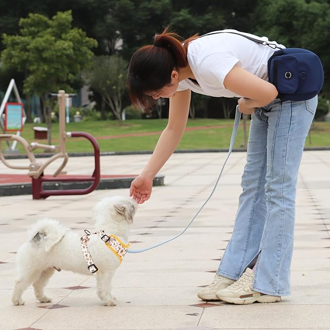 Dog Cat Harness and Leash Set, Puppia Soft Mesh Padded and Adjustable Puppy Vest Cute Dog Clothes Escape Proof Easy Walk Pet Accessories (Honeybee, XS (Neck 9"-11"; Chest 11"-13"))