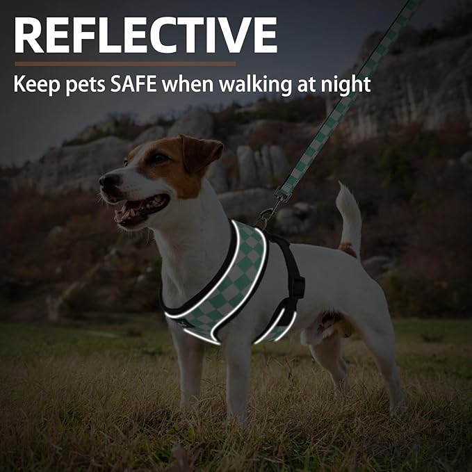 PUPTECK Soft Mesh Dog Harness and Leash Set Pet Puppy Cat Comfort Padded Vest No Pull Harnesses, Checkered Green&White, XS
