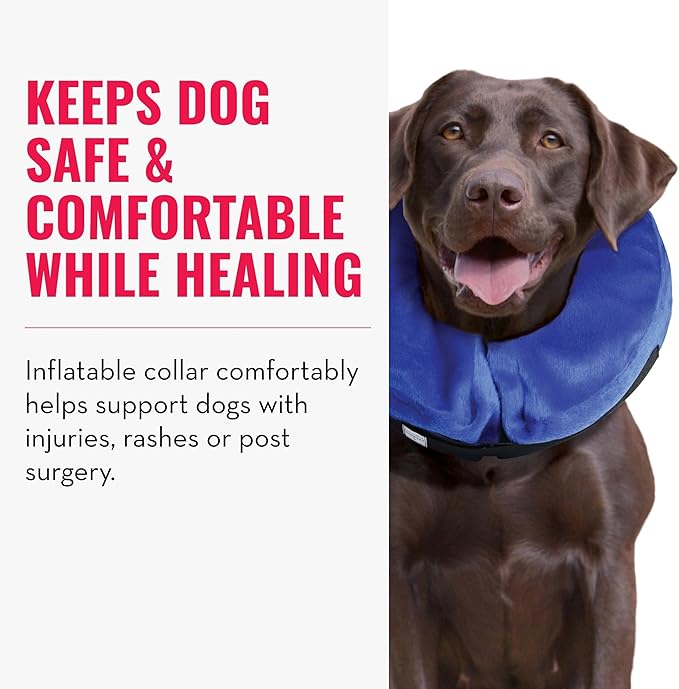 KONG - Cloud Collar - Inflatable Collar - For Injuries, Rashes and Post Surgery Recovery - For Large Dogs
