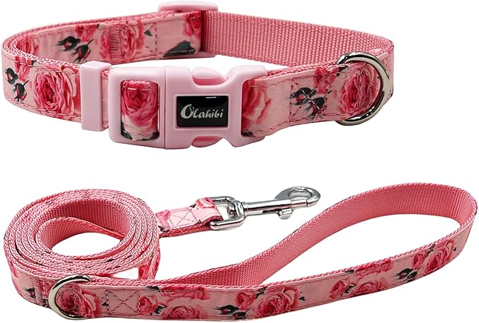Dog Collar Leash Set, Floral Pattern, Nylon Webbing Plus Cotton Ribbon, 5ft Matching Leash, for Small Dogs.(S, Pink Rose)