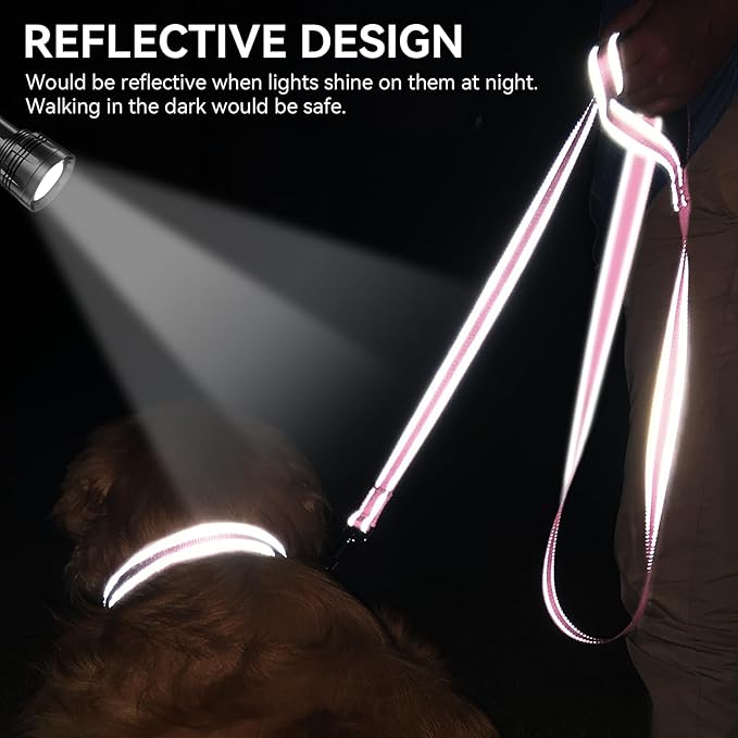 Joytale Dog Leash, 6 FT Double-Sided Reflective, Padded Handle Nylon Heavy Duty Leashes for Small Dogs Walking, Pink