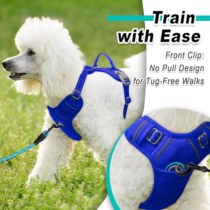 BARKBAY Dog Harness No Pull Mesh for Small Dogs - Adjustable, Reflective, Comfortable, No Choke, Heavy-Duty - Perfect for Outdoor Training, Walking, and Hiking-Strong&Durable- XS & Sapphire Blue Mesh