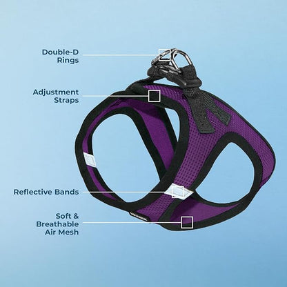 Best Pet Supplies Voyager Step-in Air Harness - All Weather Mesh, Reflective, No Pull Harness for Dogs, Cats - Secure with Hook & Loop Fastener, Buckle, Double D-Rings - Purple/Black Trim, XXS