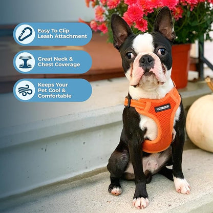 Best Pet Supplies Voyager Adjustable Step-in Flex Breathable Mesh Dog Harness for Small Medium Large Dogs Leash Set (Orange), S