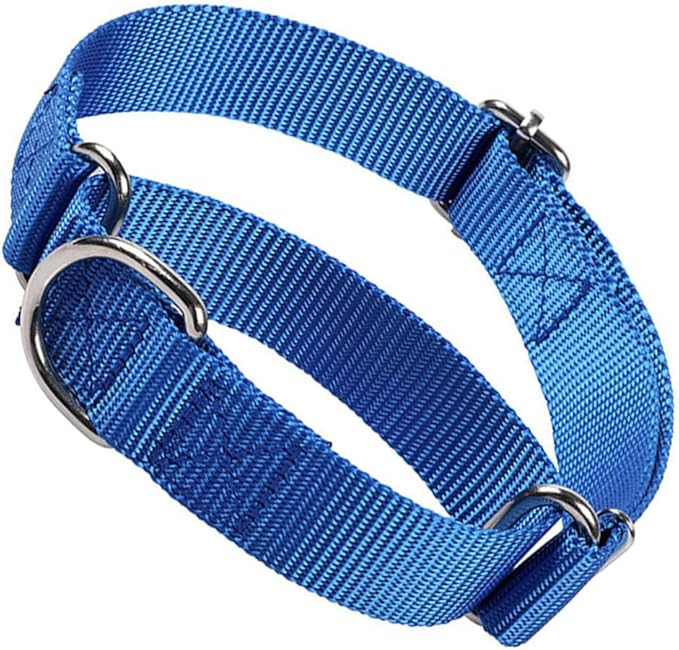Martingale Dog Collar for Large Dogs, Escape Proof Dog Choke Collar No Pull Cinch Dog Training Collars Adjustable for Small Medium Large Breed Pet Dogs, Blue L