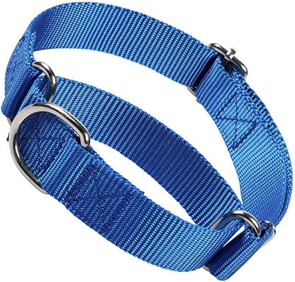 Martingale Dog Collar for Large Dogs, Escape Proof Dog Choke Collar No Pull Cinch Dog Training Collars Adjustable for Small Medium Large Breed Pet Dogs, Blue L
