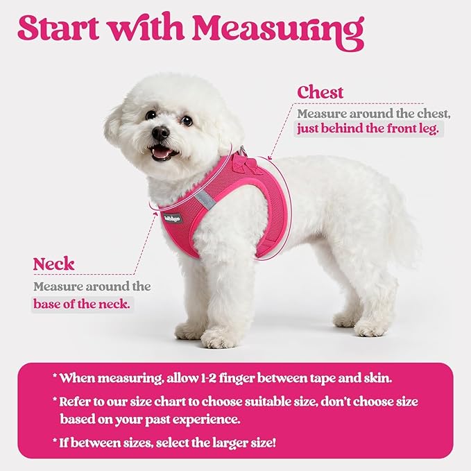 rabbitgoo Dog Harness Small Sized and Leash Set, Step in Soft Light Puppy Vest, Breathable Mesh Pet Harness, Reflective for Safe Easy Walking, Rose Red XXS