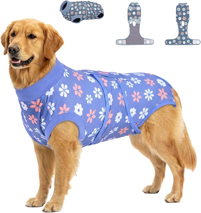 PetWarm Recovery Suit for Dogs Female Spay, Dog Bodysuit for Sensitive Skin Areas, Professional Dog Abdominal Affected Areas Bandages Substitute E-Collar and Cone, Flower Pattern, Blue, 2XL