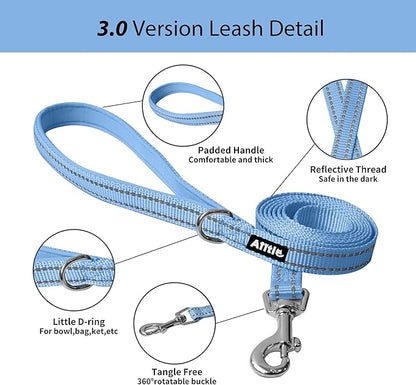 AIITLE Step in Dog Harness and Leash Set - No Pull Escape Proof Vest Harnesses with Soft Mesh and Reflective Bands, Adjustable Pet Outdoor Harnesses for Small and Medium Dogs Pure Blue M
