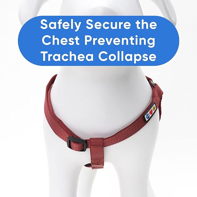 Pawtitas Solid Step-in Dog Harness – Adjustable No-Pull Vest for Puppies to Seniors, Safe & Comfortable M Marsala
