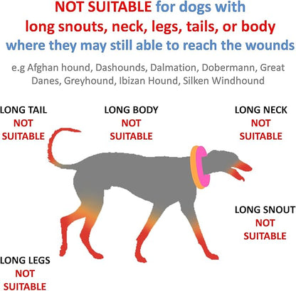 Inflatable Dog Neck Donut Collar for Post Surgery Recovery - Alternative to Elizabethan Collar (Medium Size)