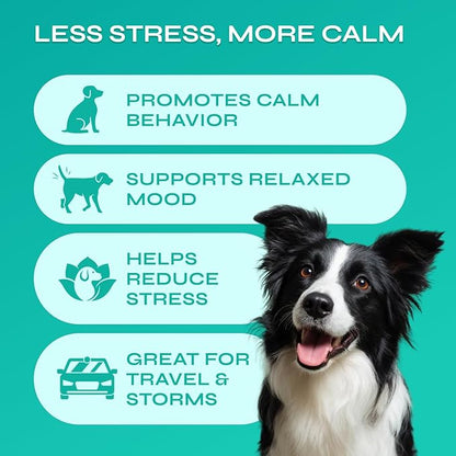 Dog Calming Chews with Hemp - 17,810 mg Hemp Oil per Pack - Soft Calming Chews for Dogs with Melatonin - Relaxation Support for Travel, Grooming, Separation, Thunder, Fireworks - 130 Chicken Bites