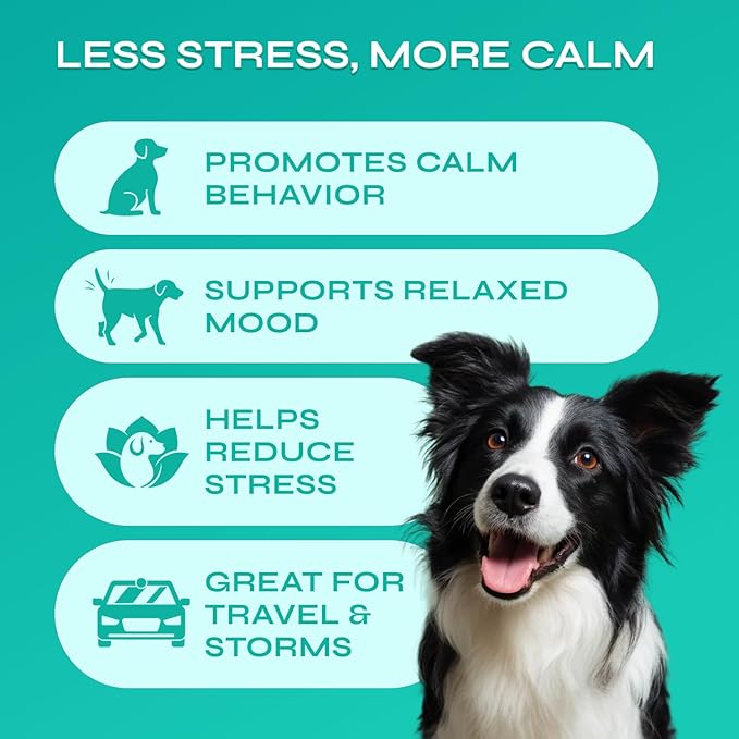 Hemp Calming Chews for Dogs - Advanced Dog Calming Chews with Organic Chamomile - Separation Aid, Barking, Stress Relief, Thunderstorms, Vet Visits - Melatonin, Hemp Oil, Vitamins - 130 Soft Treats