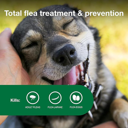 Advantage II Medium Dog Vet-Recommended Flea Treatment & Prevention | Dogs 11-20 lbs. | 6-Month Supply