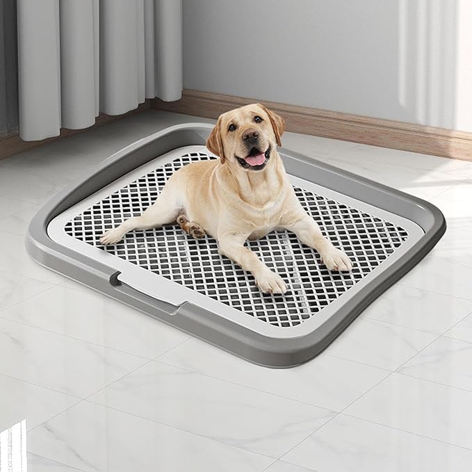 Dog Toilet Training, Toilet Puppy Pad Holder, Non-Slip, with Column, Dog Pee Holder, Training Pad for, Home, Dorm, Gray
