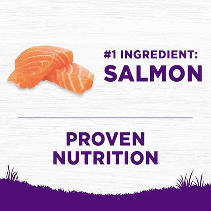 Wellness Complete Health Sensitive Skin and Stomach Dry Dog Food, Wholesome Grain Kibble, Natural, Chicken Free, Salmon and Rice Recipe, 24 lb Bag