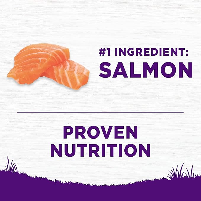 Wellness Complete Health Sensitive Skin and Stomach Dry Dog Food, Wholesome Grain Kibble, Natural, Chicken Free, Salmon and Rice Recipe, 38 lb Bag