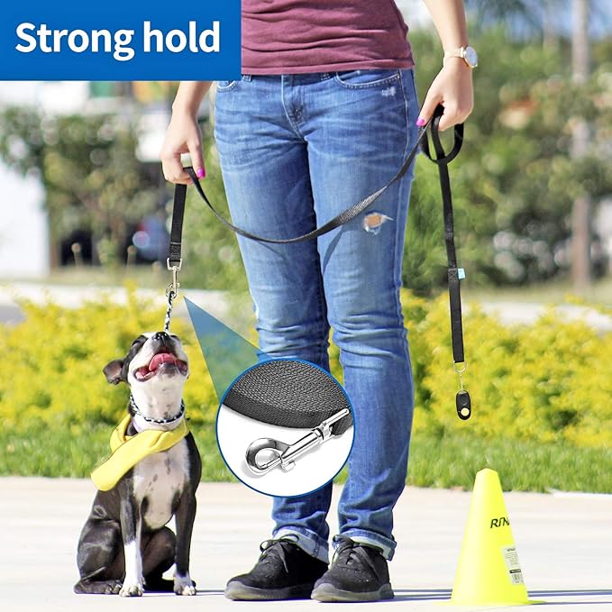 BAAPET 15/20/30/50/100 ft Long Dog Training Leash with Clickers for Small, Medium and Large Dogs or Cats (100 Feet, Purple)