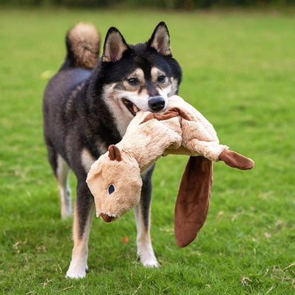 Best Pet Supplies Squeaky Dog Toys with Soft Durable Fabric for Small, Medium and Large Pets Interactive Toy for Indoor Play, Supports Active Biting and Play - 4 Figures, Medium