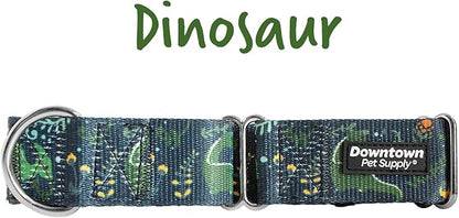 Downtown Pet Supply - Martingale Collar for Dogs - Dog Training Collar - Big, Wide & Thick Dog Collar - Escape-Proof, Weatherproof, Durable and Comfortable - Dino - Large Dog Collar