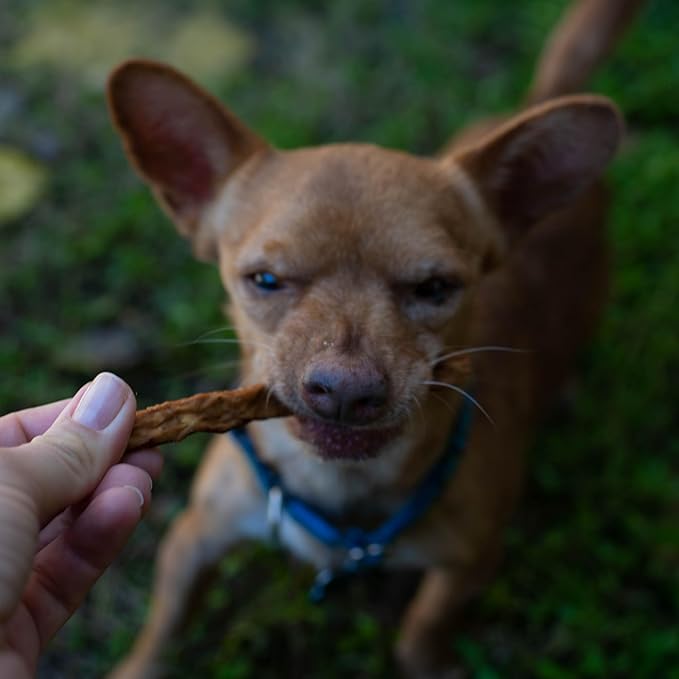 Loving Pets Natural Value Beef Sticks - Soft Jerky Dog Treats for Large & Small Breeds - Healthy Gluten, Wheat, Soy & Grain Free Pet Treats for Dogs