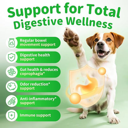 Dog Probiotics & Digestive Enzymes – Pumpkin Fiber Chews for Gut Health, Constipation& Upset Stomach Relief, Gas & Stool Support, Chicken Flavor Soft Chews – 90 Count