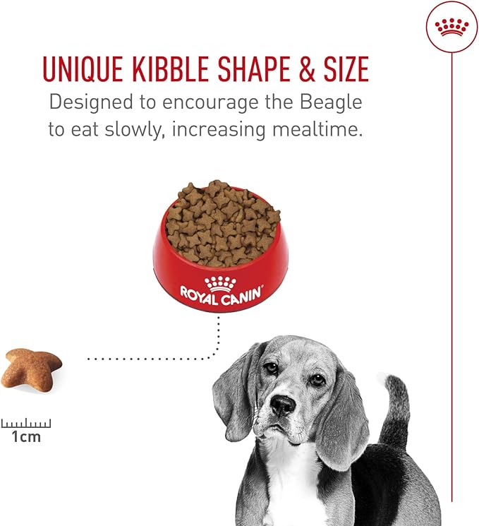 Royal Canin Breed Health Nutrition Beagle Adult Dry Dog Food, 30 lb Bag