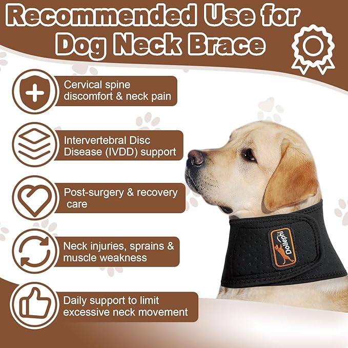Dog Neck Brace with Hot/Cold Compress, Cervical Spine Support Collar for Dogs with IVDD, Neck Pain, Injury & Post-Surgery Recovery(M)