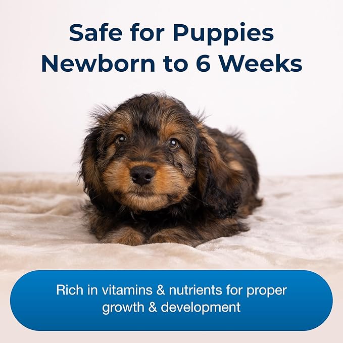 PetAg Esbilac Puppy Milk Replacer Liquid - 11 oz, Pack of 12 - Ready-to-Feed Puppy Formula with Vitamins for Puppies Newborn to 6 Weeks Old - Easy to Digest
