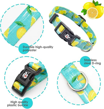 azuza Dog Collar and Leash Set, Lemon Patterns on Blue Nylon Collar and Matching Leash, Great Option for Extra Small Dogs