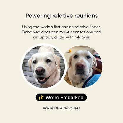Embark Breed & Health Kit - Dog DNA Testing Kit - Discover Breed, Ancestry, Relative Finder, Genetic Health, Traits, Allergy Risk Scores (Pack of 2)