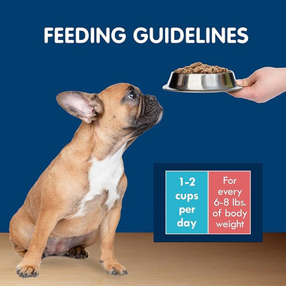 Blue Buffalo Delights Natural Adult Small Breed Wet Dog Food Cups, in Gravy, Chicken, Prime Rib and NY Strip 3.5-oz (24 Pack- 8 of Each Flavor)
