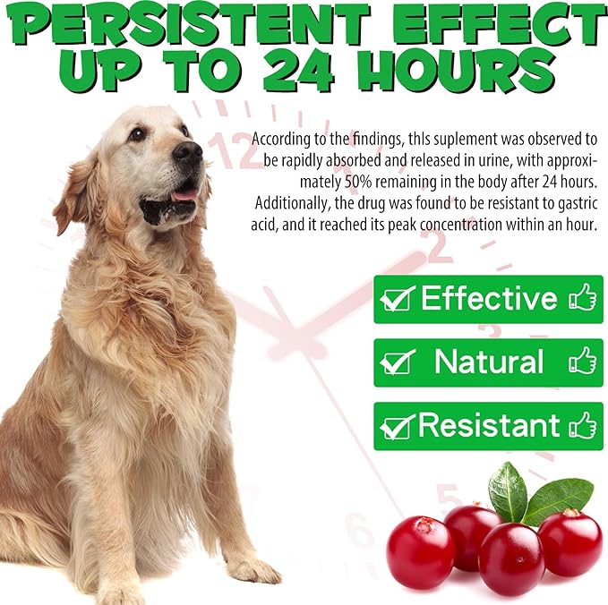 Urinary Tract for Dogs, Natural Dog Urinary Tract Infection Treatment Drops - Supports Bladder, Kidney Stone, Dog UTI, Pet Supplement Renal Health Care Drops, Bacon Flavor - 60ml / 2.02oz