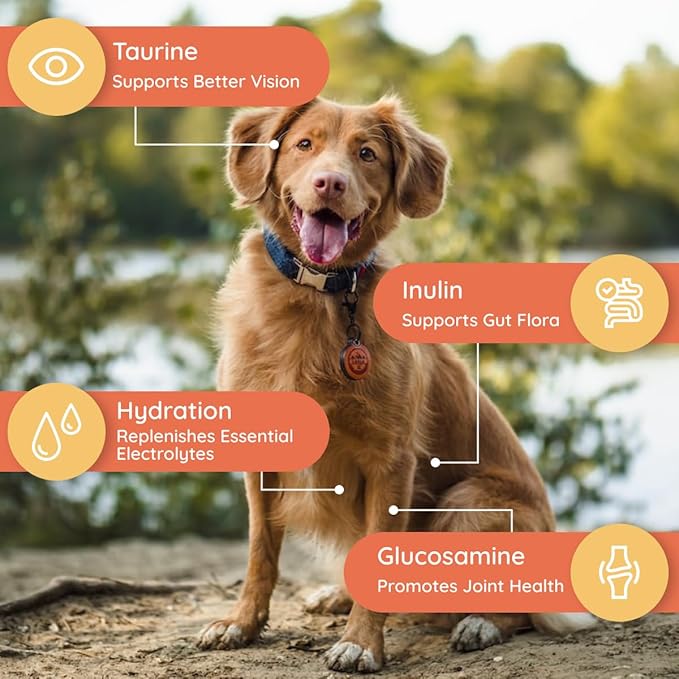 Petralyte Dog Electrolytes and Joint Supplement | Hydration Support for Dogs w/Glucosamine, Chondroitin & More | Electrolytes for Dogs with Prebiotics | for Chicken Lovers | 16 Packets