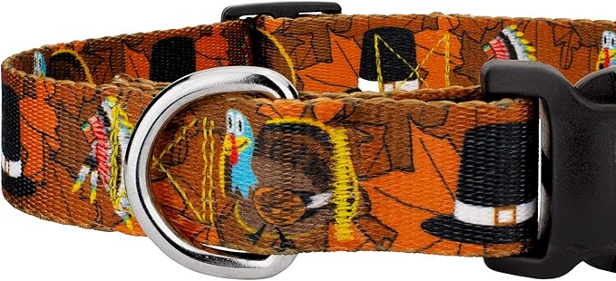 Country Brook Petz - Thanksgiving Tradition Everyday Dog Collar and Leash - Awesome Autumn Collection Featuring Designs You'll Fall for (5/8 Inch, Small)